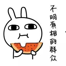 娱乐吃瓜酱果然真诚,揭秘娱乐圈真诚背后的故事